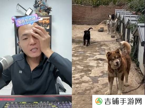 本站