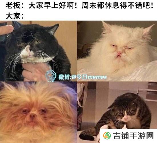 本站
