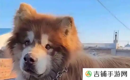 本站