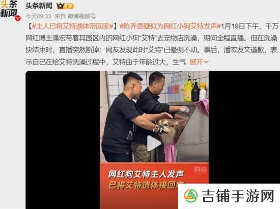本站