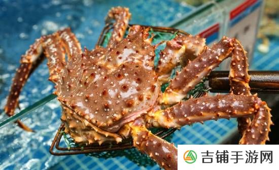 本站