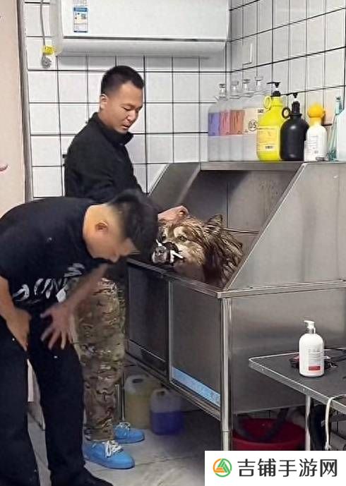 本站