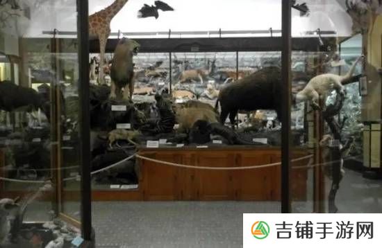 本站