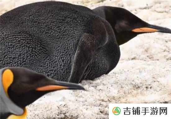 本站