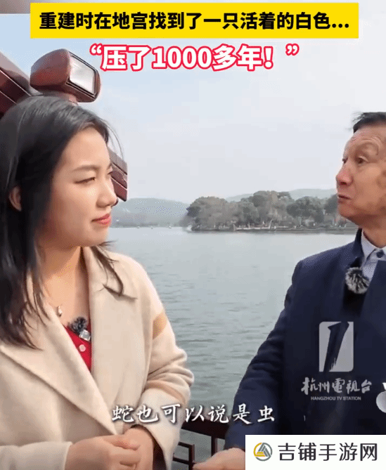 本站