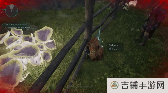本站